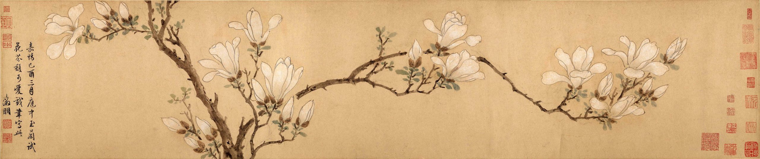 明 文征明 玉兰图