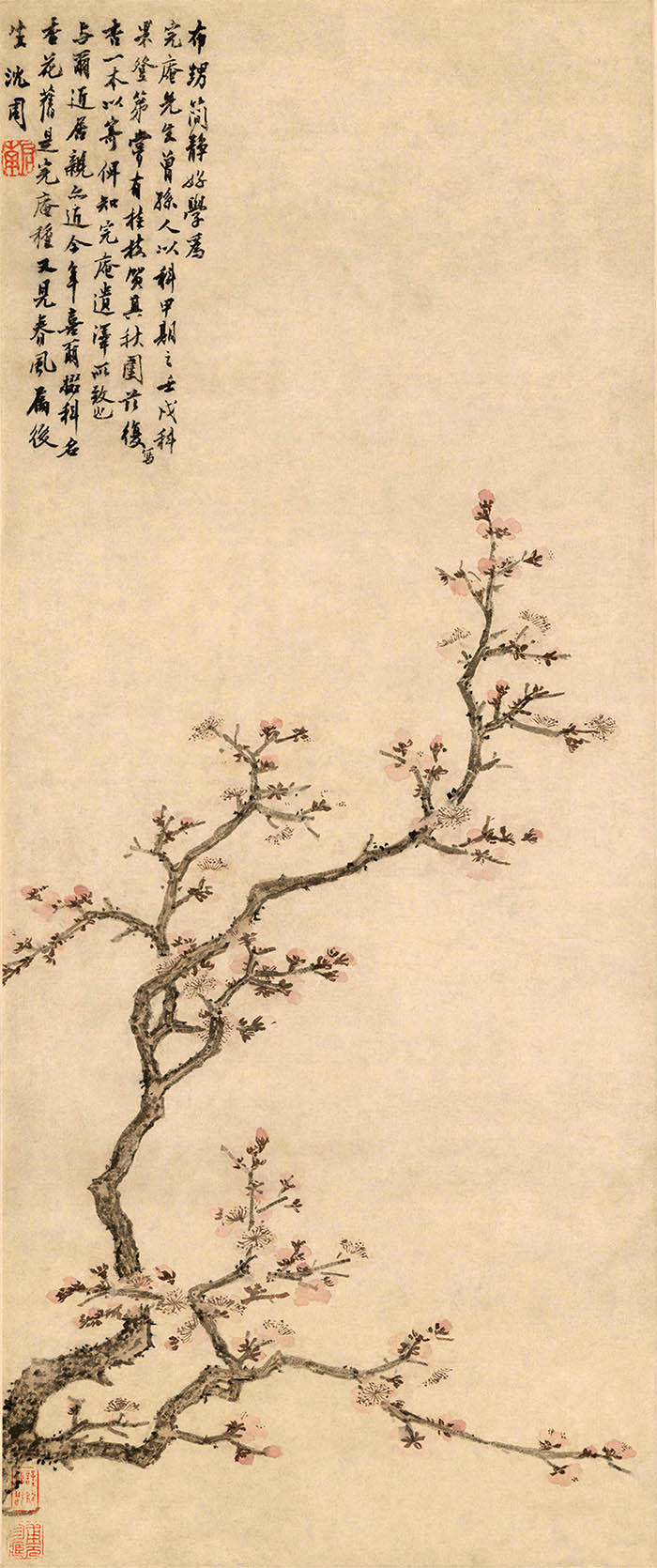 明 沈周 杏花图轴