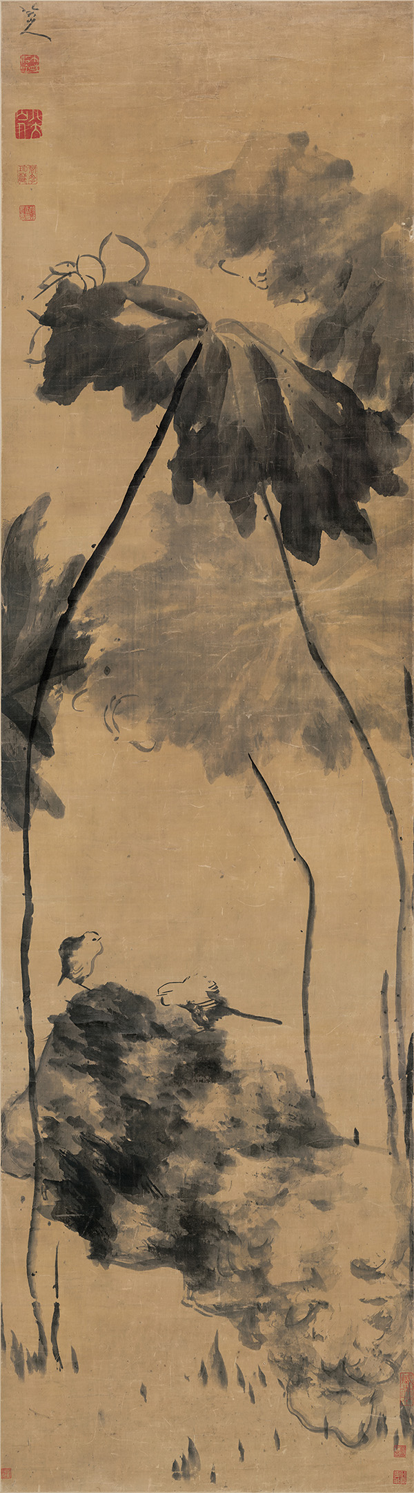 清 朱耷（八大山人） 荷花双禽图