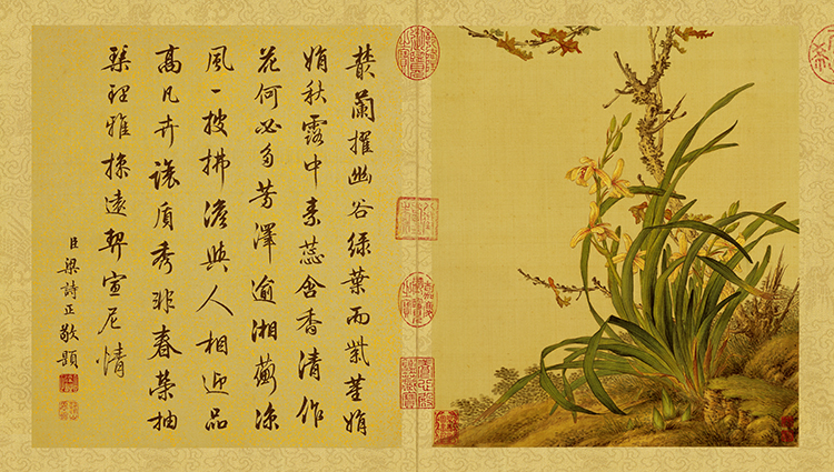 清 郎世宁 花鸟图册02