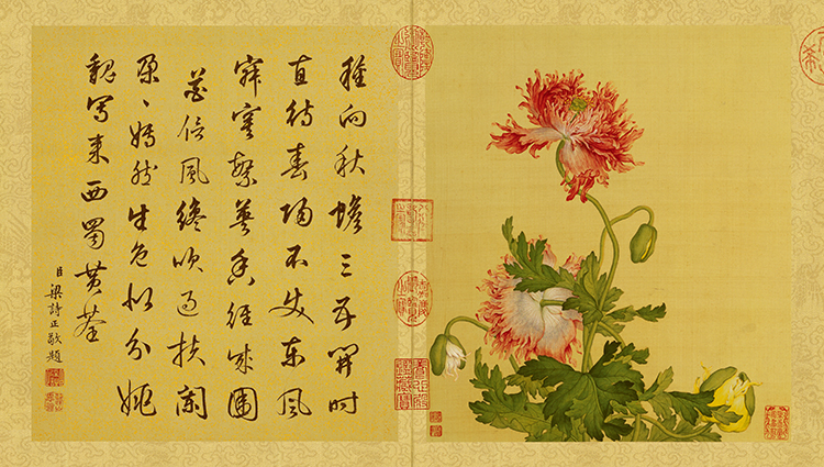 清 郎世宁 花鸟图册03