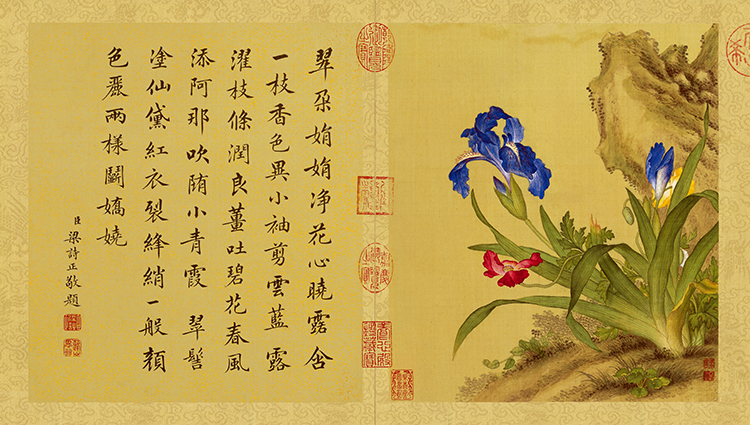 清 郎世宁 花鸟图册04