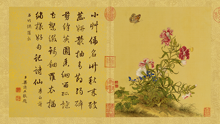 清 郎世宁 花鸟图册06