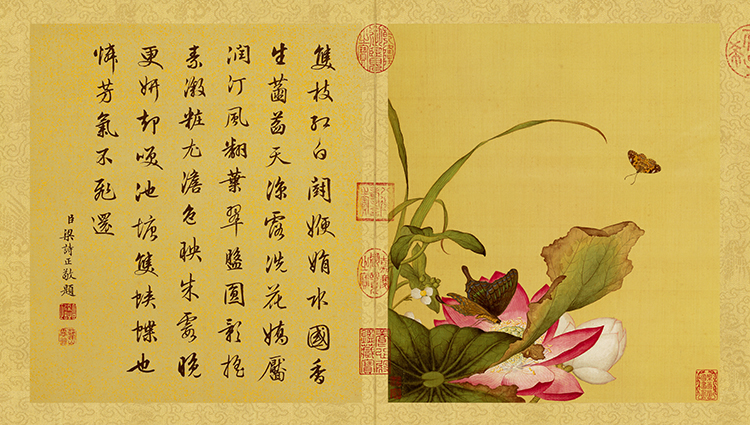清 郎世宁 花鸟图册07