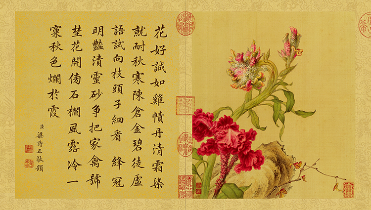 清 郎世宁 花鸟图册08