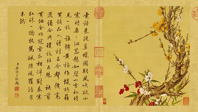 清 郎世宁 花鸟图册09