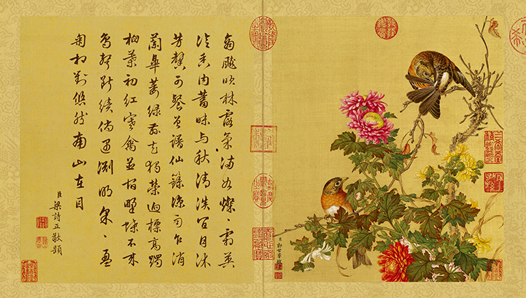 清 郎世宁 花鸟图册10
