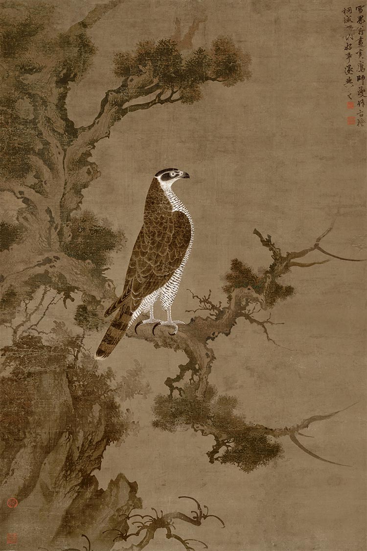 元 张舜咨 雪界翁柏鹰图 绢本