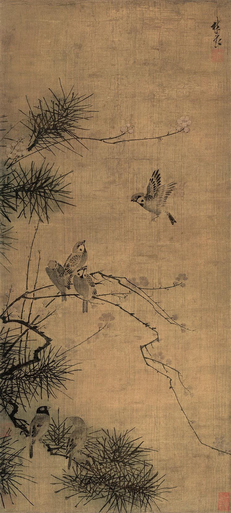 明 林良 松梅寒雀图