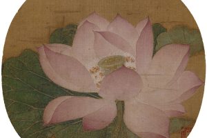 宋 出水芙蓉图 工笔画宋人小品
