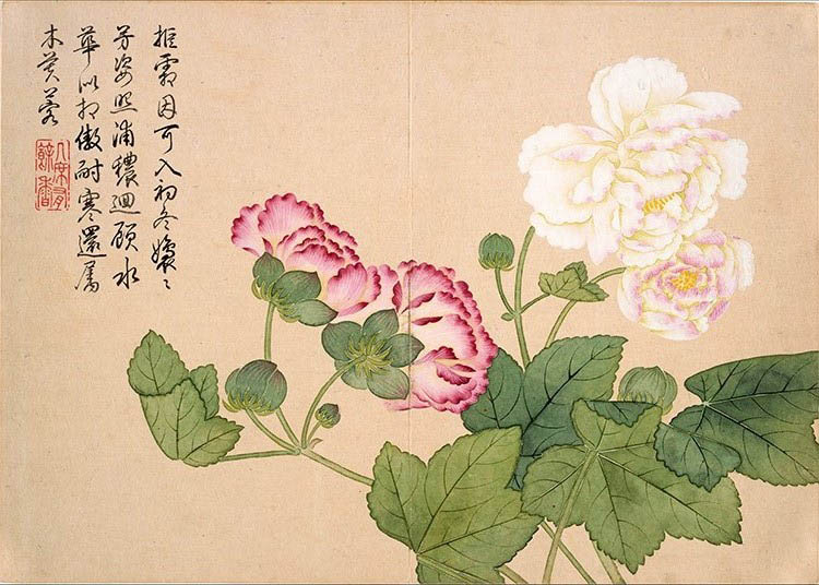 清 钱维城 山水花鸟册 12开2 木芙蓉