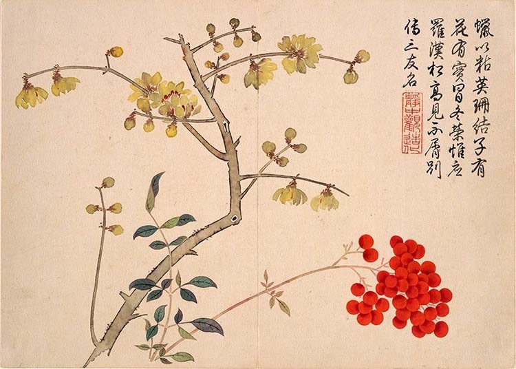 清 钱维城 山水花鸟册 12开7