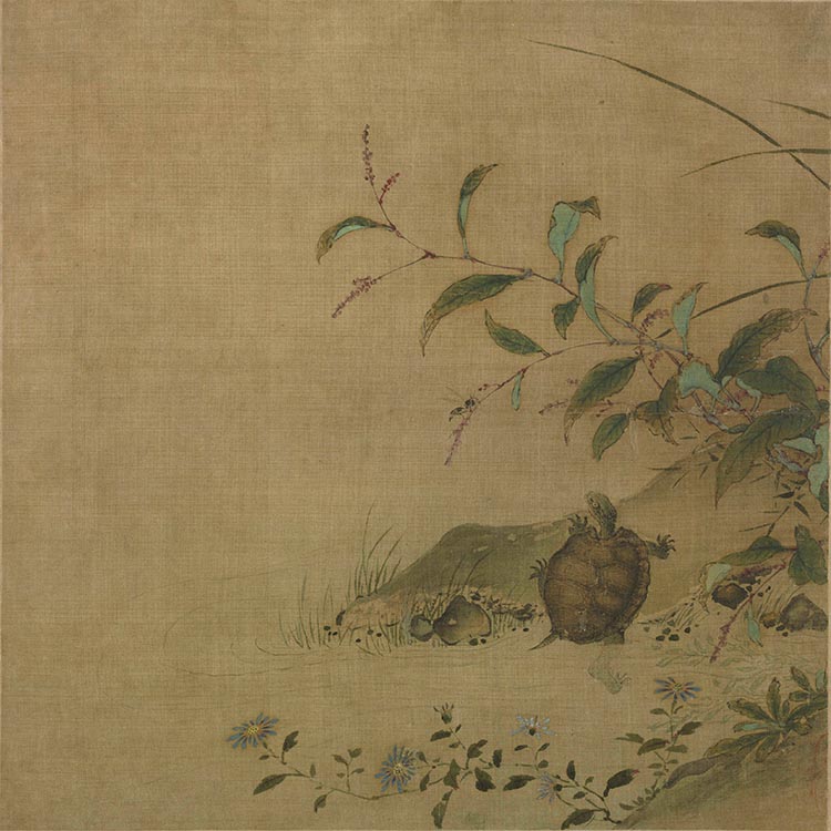 宋 佚名 蓼龟图