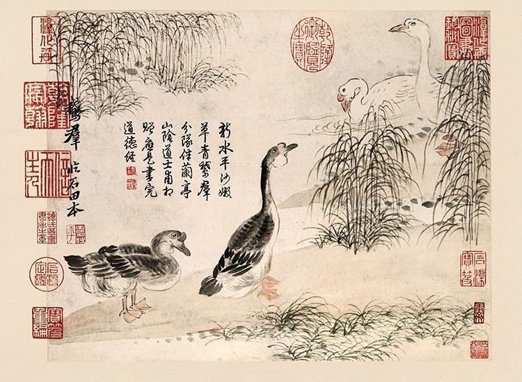 清 恽寿平 山水花鸟图册10 鹅群