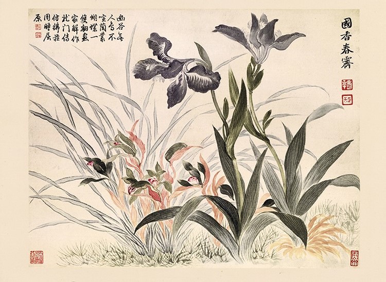 清 恽寿平 山水花鸟图册02国香春霁兰花蝴蝶花