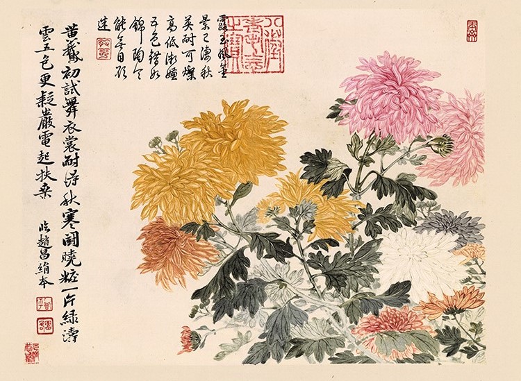 清 恽寿平 山水花鸟图册03菊花