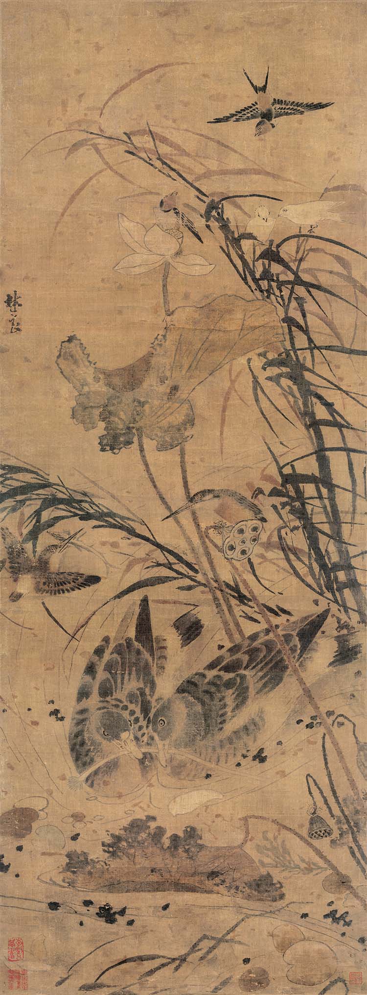 明 林良 荷塘集禽图 天津博物馆藏