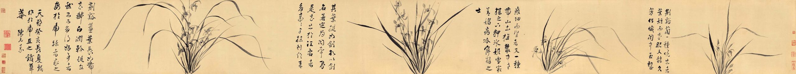 明 陈元素 兰花图 高清图下载