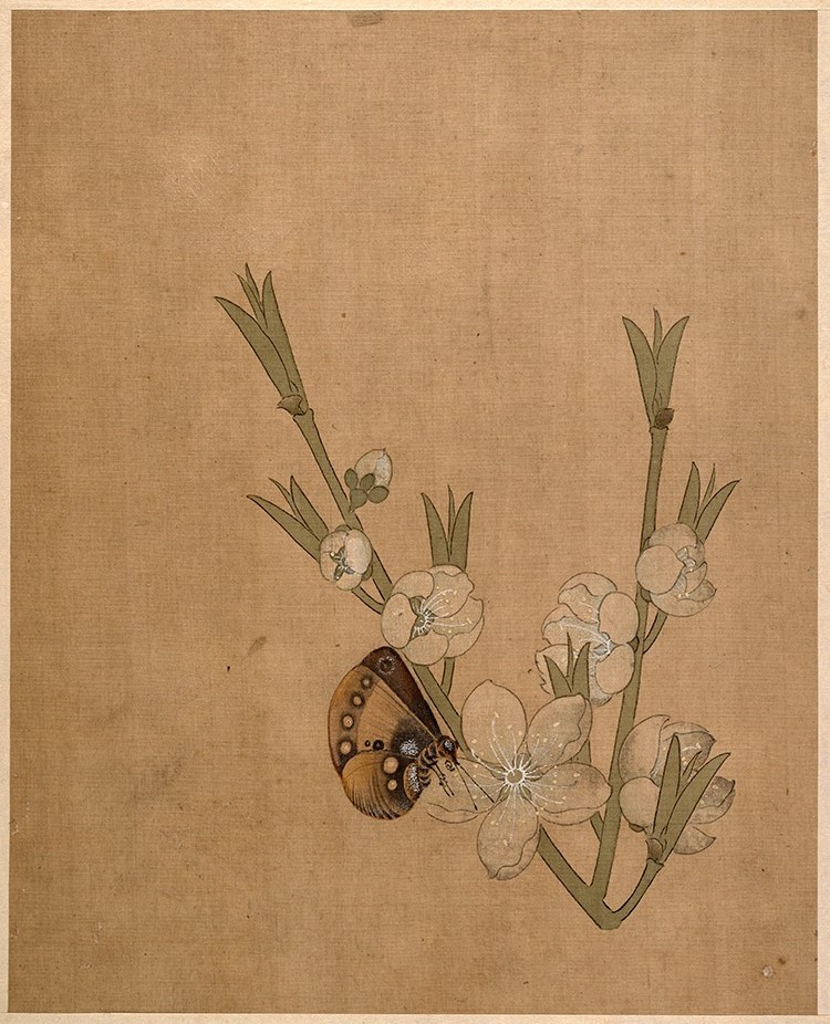 明 陈洪绶 人物山水花鸟册05（大都会博物馆）