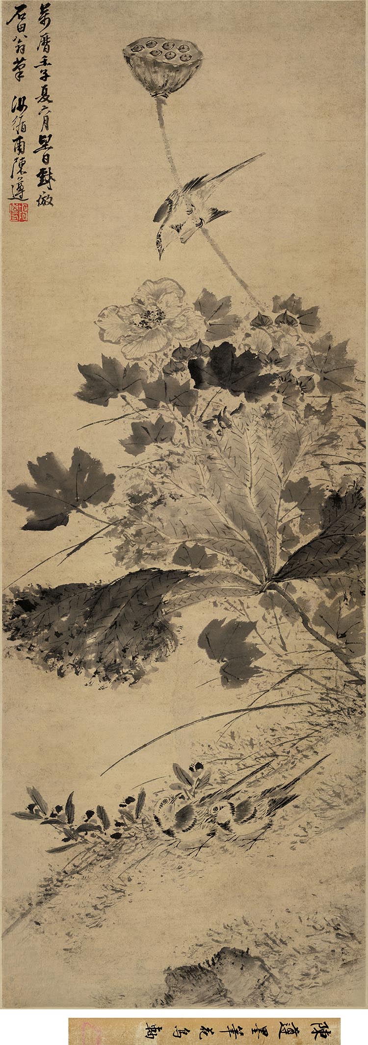 明 陈遵 芙蓉鹡鸰图