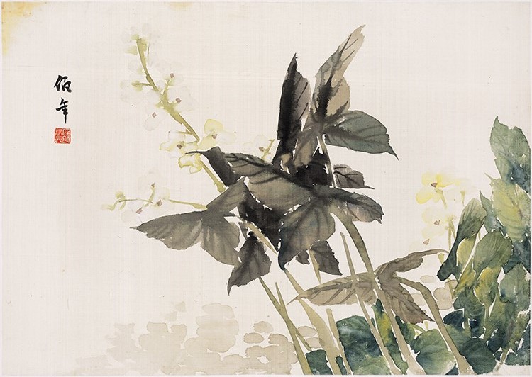 清 任伯年 花卉图册（十二开）05高清图免费下载