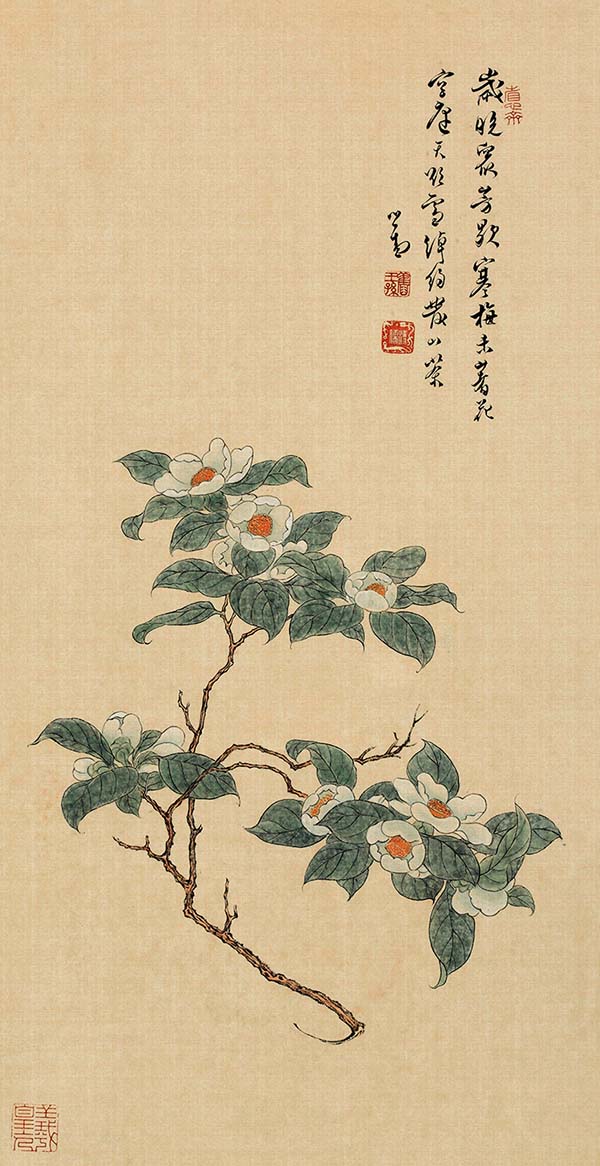 清 溥儒 山茶花