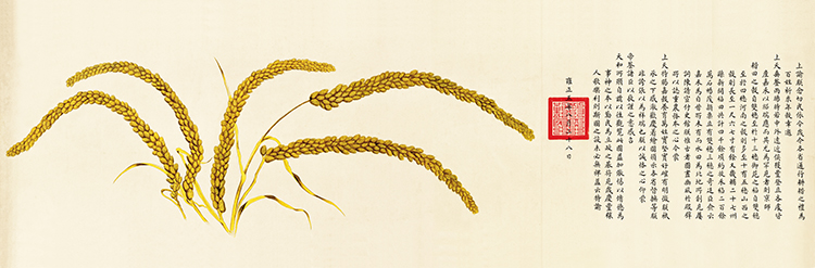 清 郎世宁 瑞谷图