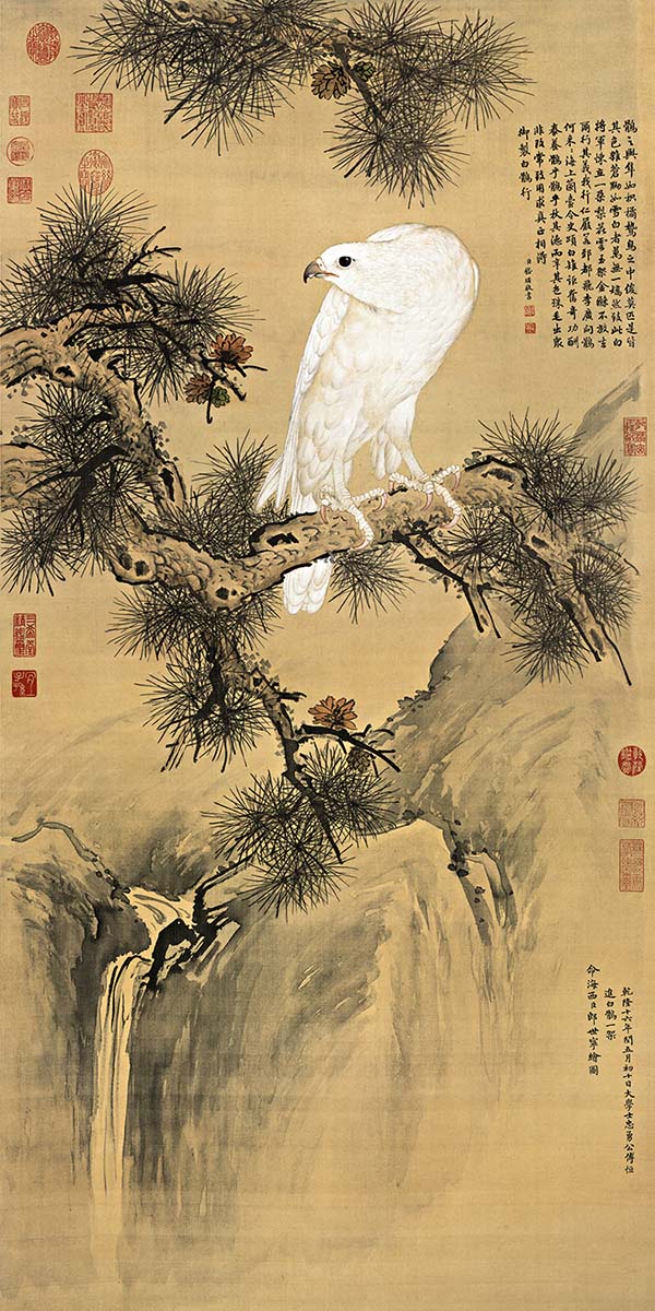 清 郎世宁 白鹘图 古画高清图下载