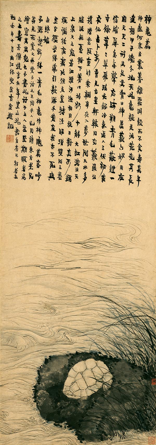 清 金农 神龟图