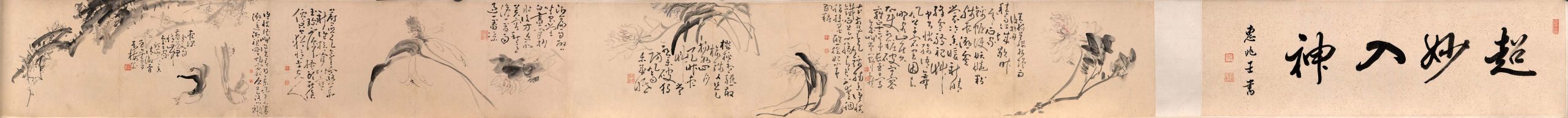 清 黃慎 花卉长卷 高清图下载