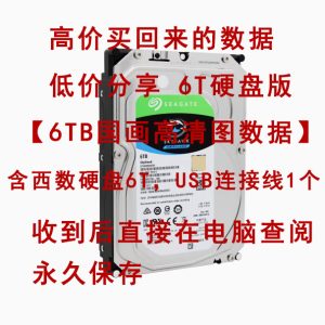 高价买来的高清古今中外国画书法油画扫描图数据  低价分享 6T硬盘版