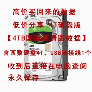 高价买回来的高清电子图古画国画书法扫描图数据  低价分享 4T硬盘版