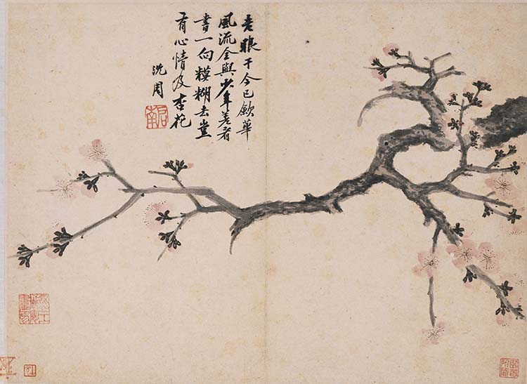 明 沈周 卧游图册03 杏花 高清图下载