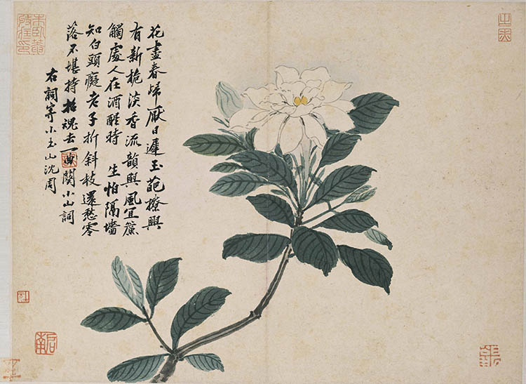 明 沈周 卧游图册 07 高清图下载