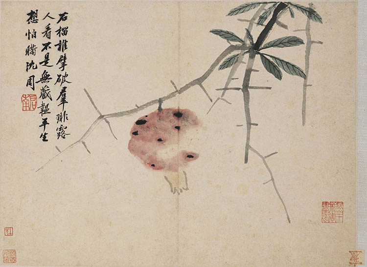 明 沈周 卧游图册12石榴 高清图下载