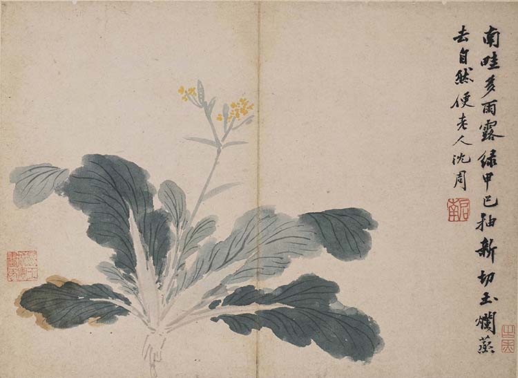 明 沈周 卧游图册15 高清图下载