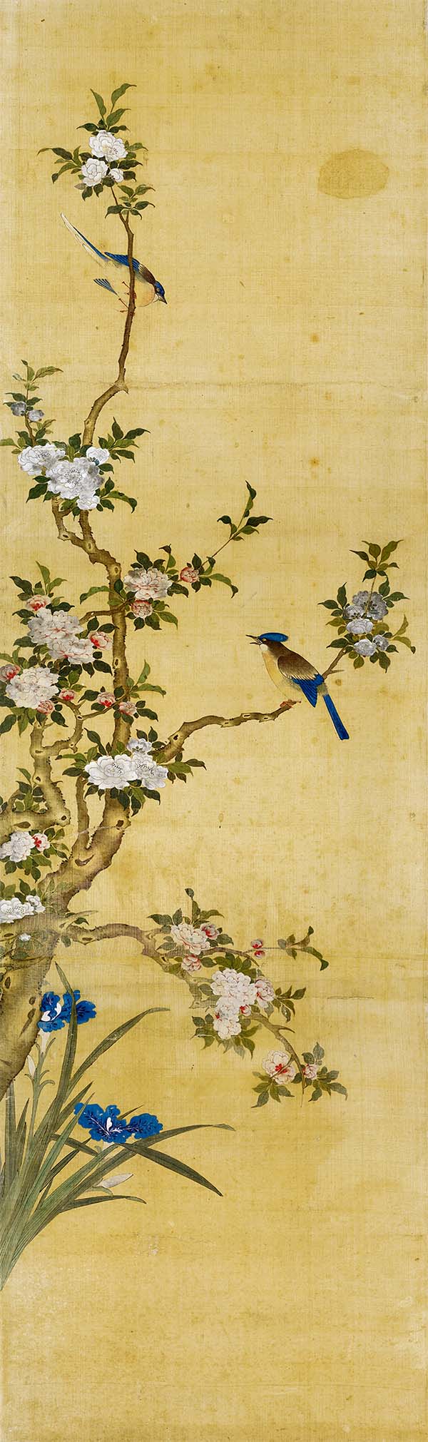 清 陈枚 四季花鸟图屏 八条屏2 高清图下载