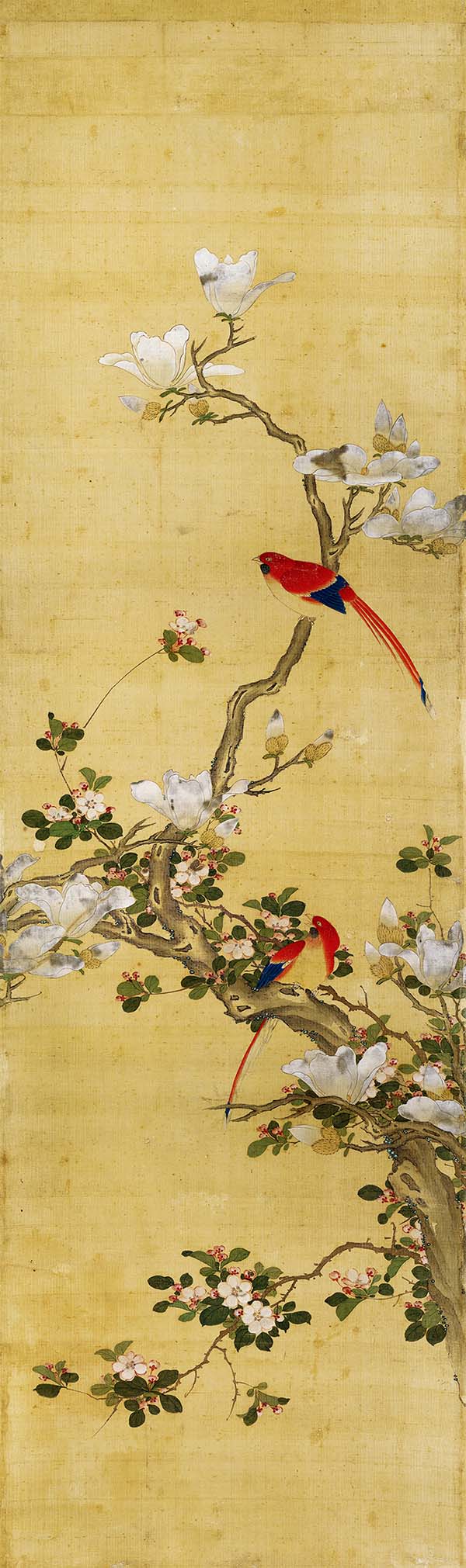 清 陈枚 四季花鸟图屏 八条屏3玉兰绶带 高清图下载