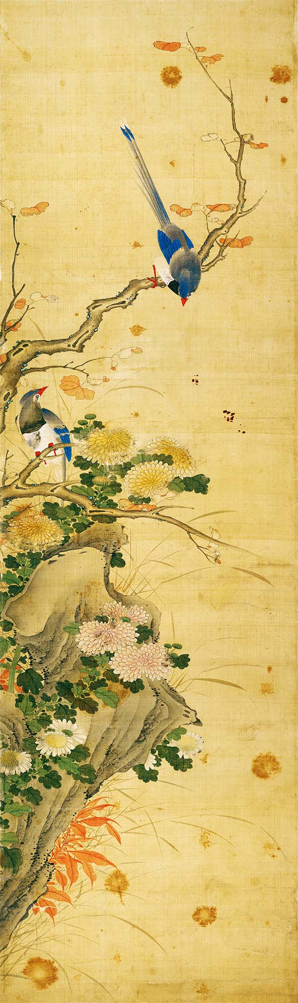 清 陈枚 四季花鸟图屏 八条屏7菊花红叶 高清图下载