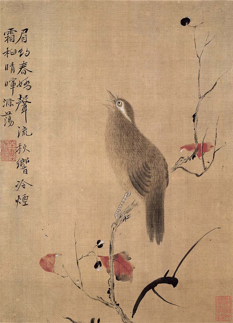 清代 华喦 花鸟草虫图八开5 高清图下载