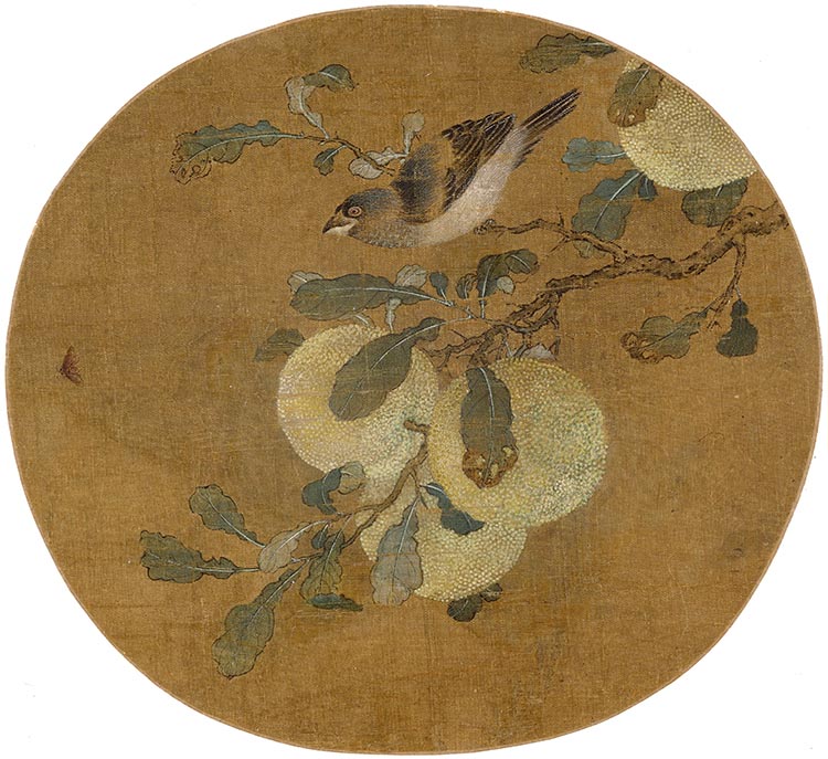 宋 佚名 橘枝栖雀图 高清图下载