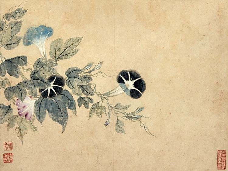 清 恽寿平 花鸟草虫图八开05 高清图下载