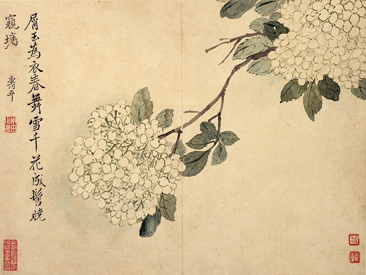 清 恽寿平 花鸟草虫图八开07 高清图下载