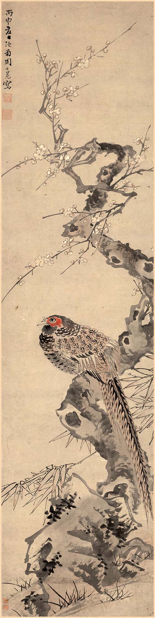 明 周之冕 梅花野雉图 高清图下载