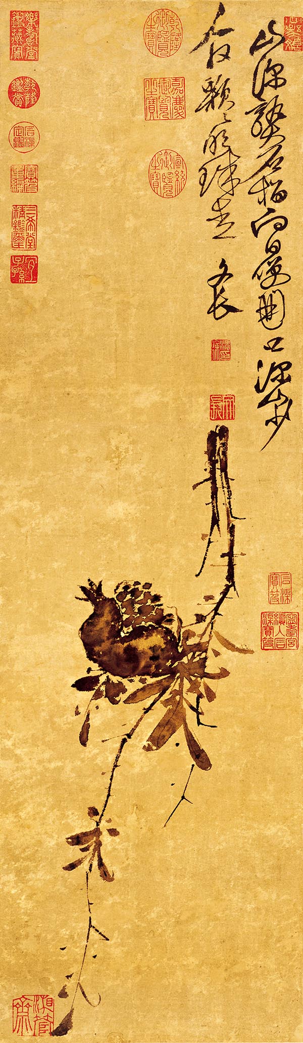 明 徐渭 榴实图 高清图下载