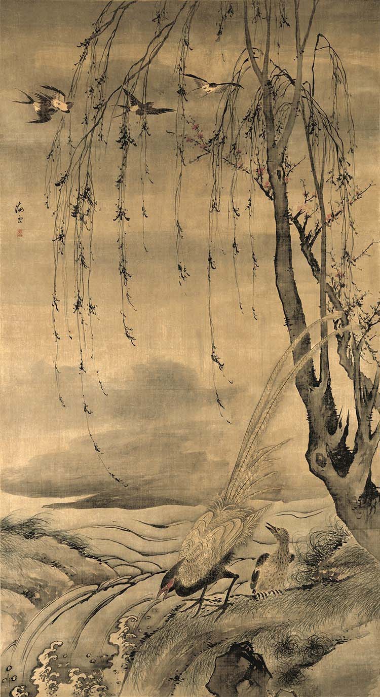 明 王肇 柳禽白鹇图 高清图下载
