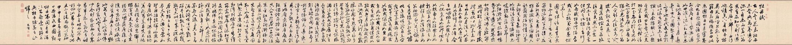 明 祝允明 牡丹赋行草