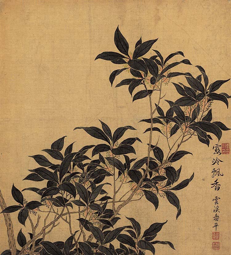 清 恽寿平 花卉十开-03桂花 高清图下载