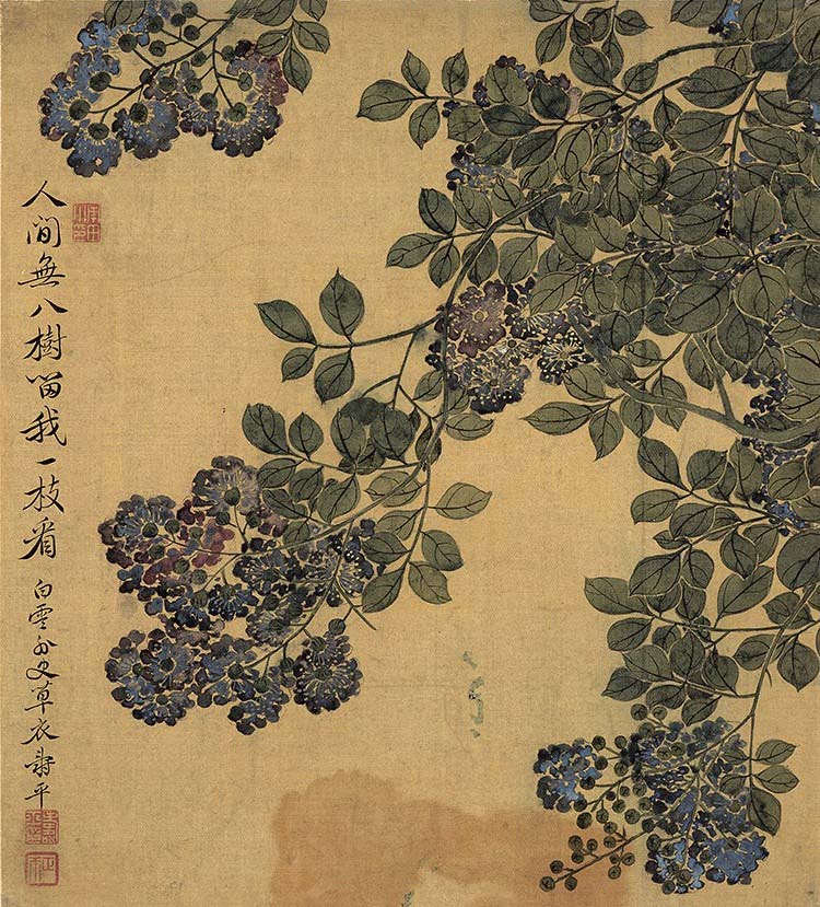 清 恽寿平 花卉十开-07 高清图下载