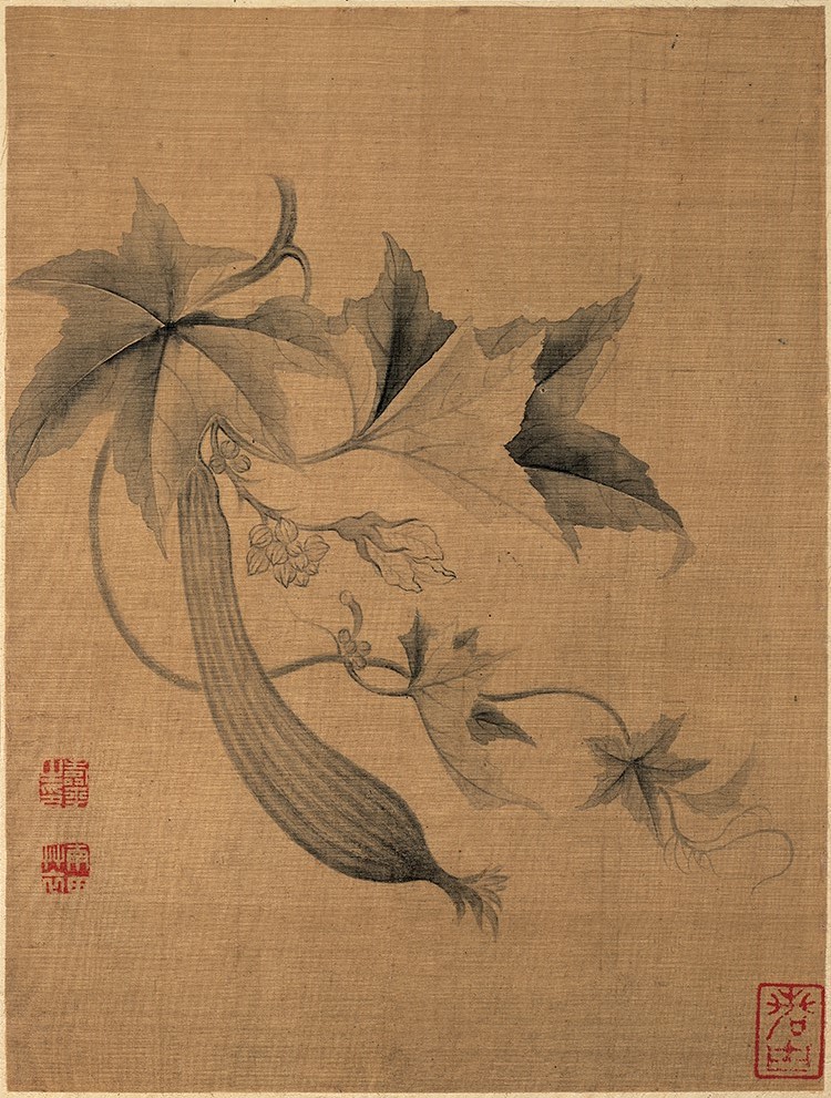 清 恽寿平 花卉图册2丝瓜 高清图下载